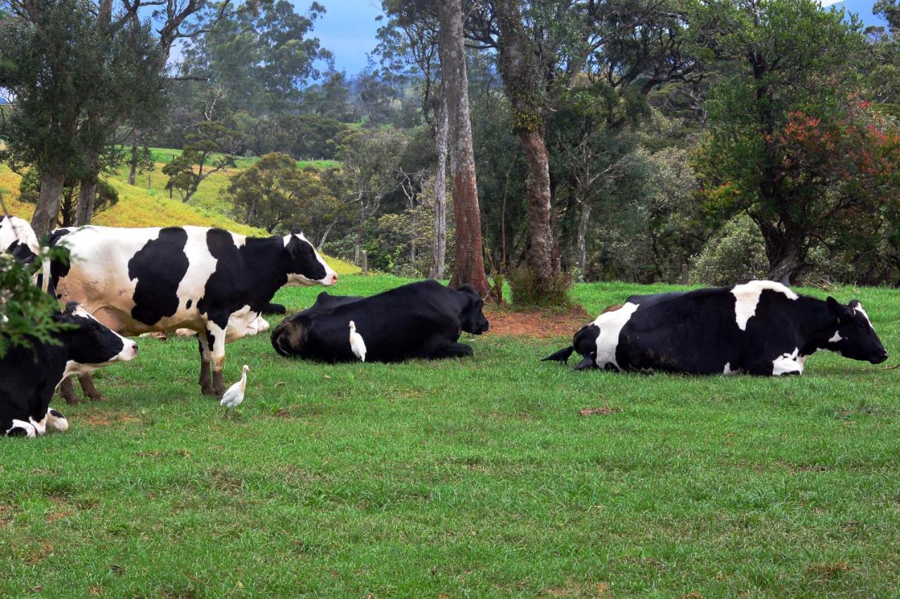 Fort Windshire Nuwara Eliya Exteriér fotografie